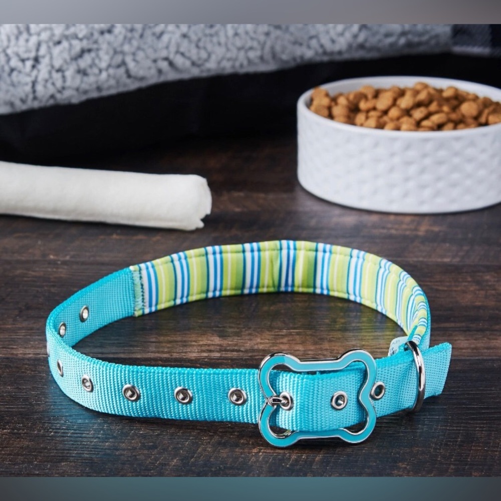 Vibrant Life Medium Teal Stripe Padded Dog Collar Blue Green Bone Charm 14-20”